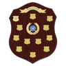Chronicle Shield