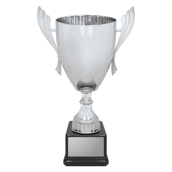 Ironside Cup - Silver!