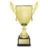 Ironside Cup - Gold!
