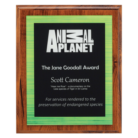 Vivid Green Plaque!
