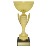 Guardian Cup!