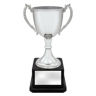 Ultimate Silver Cup!
