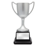 Goodwood Cup