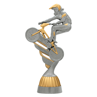 BMX Silver