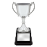 Ultimate Silver Cup!