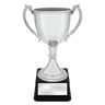 Ultimate Silver Cup!