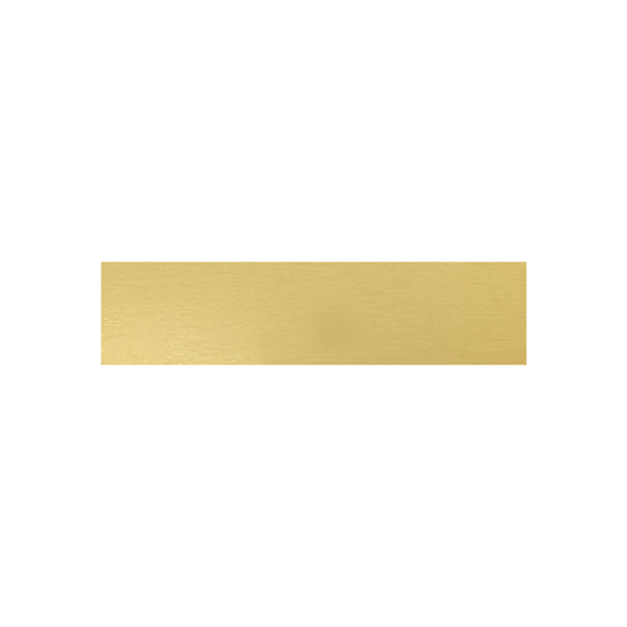Trophy Plate - 58x14mm!