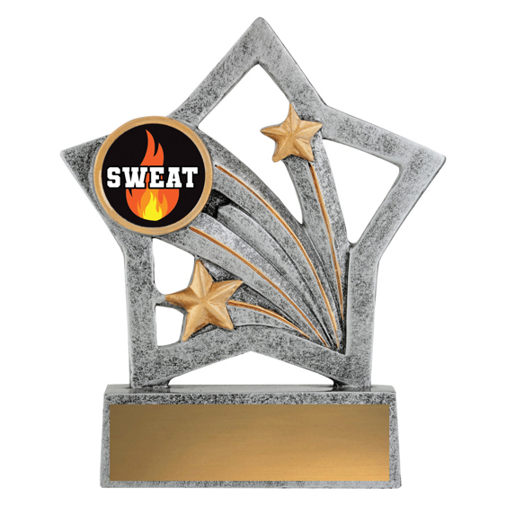 Flash - Sweat Training!