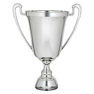 Silver Cup - The Moment