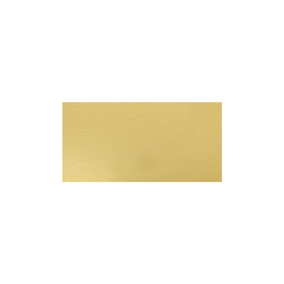 Trophy Plate - 48x24mm!